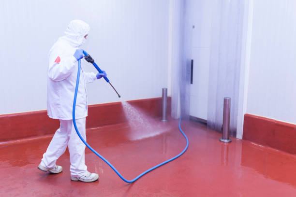 Reliable French Island, WI Pressure Washing Services Solutions