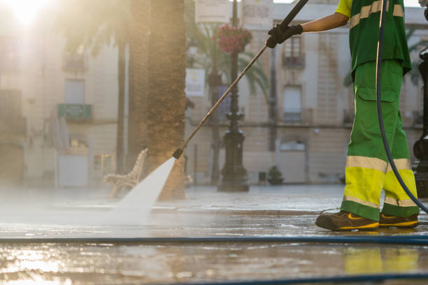 Best Sidewalk and Walkway Cleaning  in French Island, WI